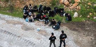 Bodrum'da 21 düzensiz göçmen yakalandı