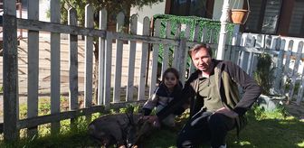 Bolu'da aracın çarpması sonucu yaralanan karaca tedavi altına alındı