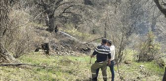 Bolu'da otluk alanda çıkan yangını söndürüldü