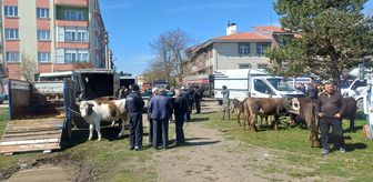 Yeniçağa'da Anneler Günü coşkusu