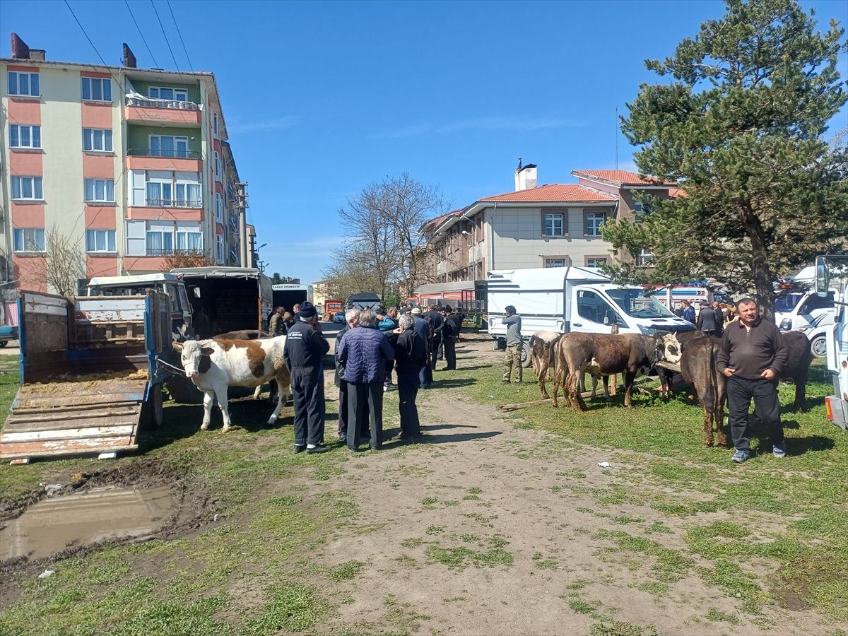 Yeniçağa'da Anneler Günü coşkusu
