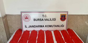 Bursa'da kağıda emdirilmiş sentetik uyuşturucu ele geçirildi