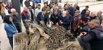 Çemişgezek'te vatandaşlara 800 fidan dağıtıldı