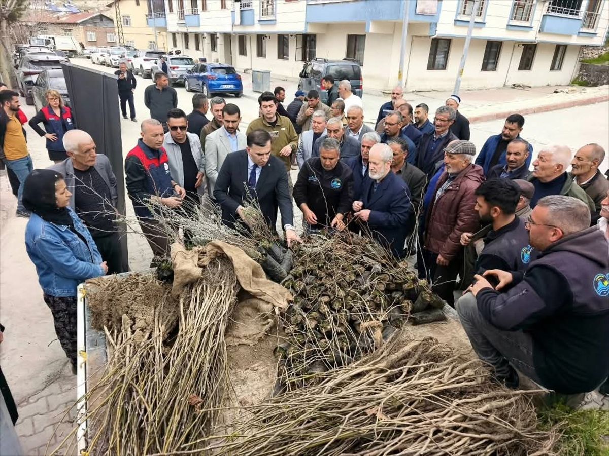 Çemişgezek'te vatandaşlara 800 fidan dağıtıldı