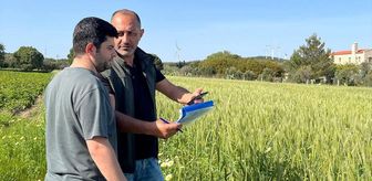 Datça'da tarım arazilerinde üretim planlaması kontrolleri yapıldı