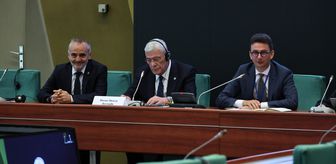 Dervişoğlu, Avrupa Konseyi Parlamenter Meclisi ALDE Grup Başkanı Bulai ile görüştü
