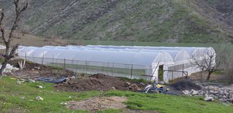 Devlet desteğiyle kurduğu sera sayesinde 7 kişilik ailesine bakıyor
