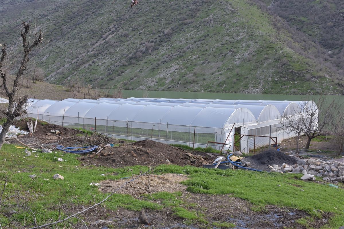 Devlet desteğiyle kurduğu sera sayesinde 7 kişilik ailesine bakıyor