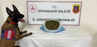 Diyarbakır'da uyuşturucu operasyonlarında 10 şüpheli hakkında adli işlem yapıldı