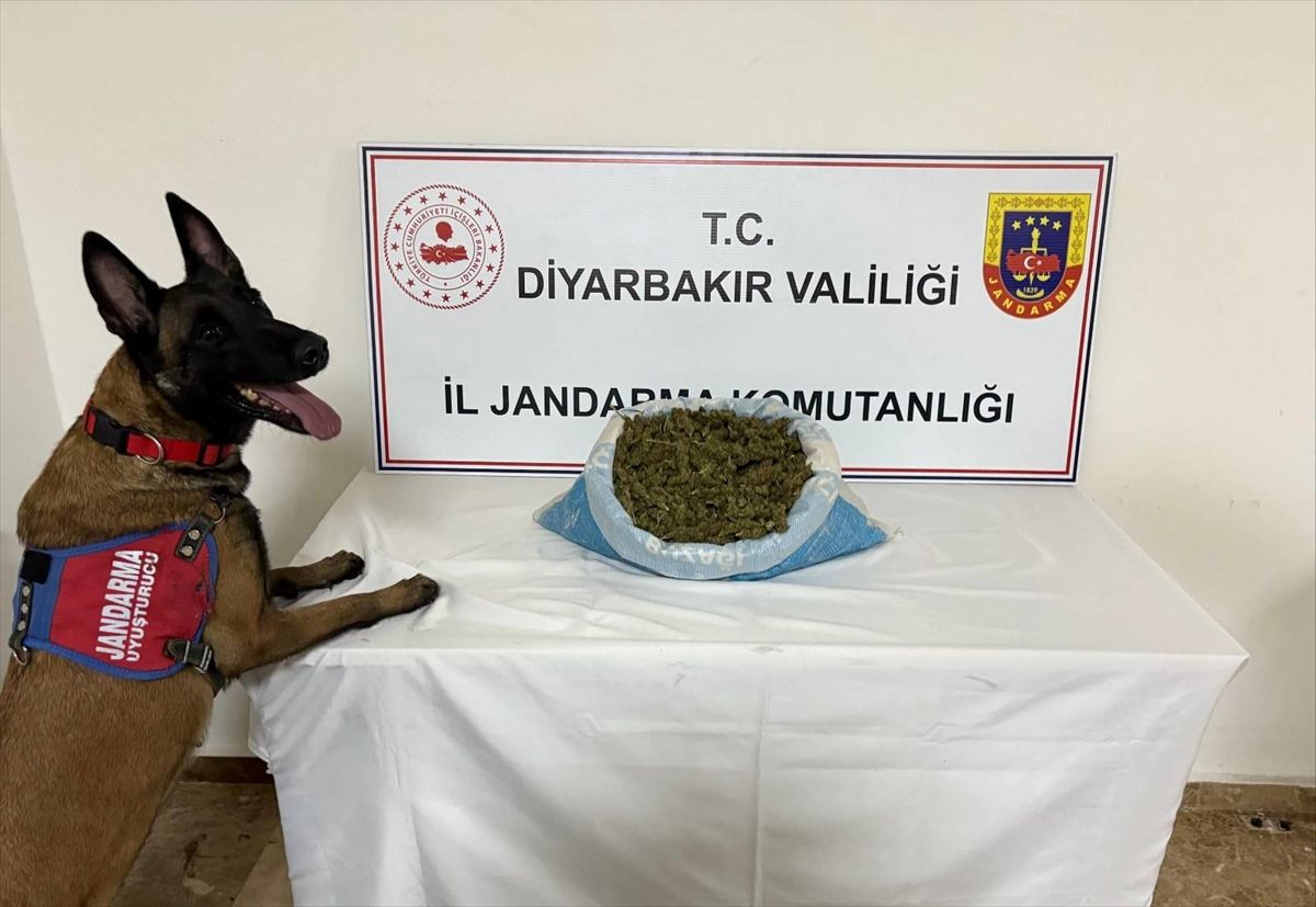 Diyarbakır'da uyuşturucu operasyonlarında 10 şüpheli hakkında adli işlem yapıldı