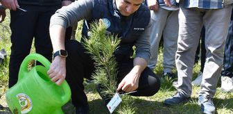 Düzce'de MHP Genel Başkanı Bahçeli adına hatıra ormanı oluşturuldu