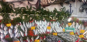 Edirne'de balık fiyatları