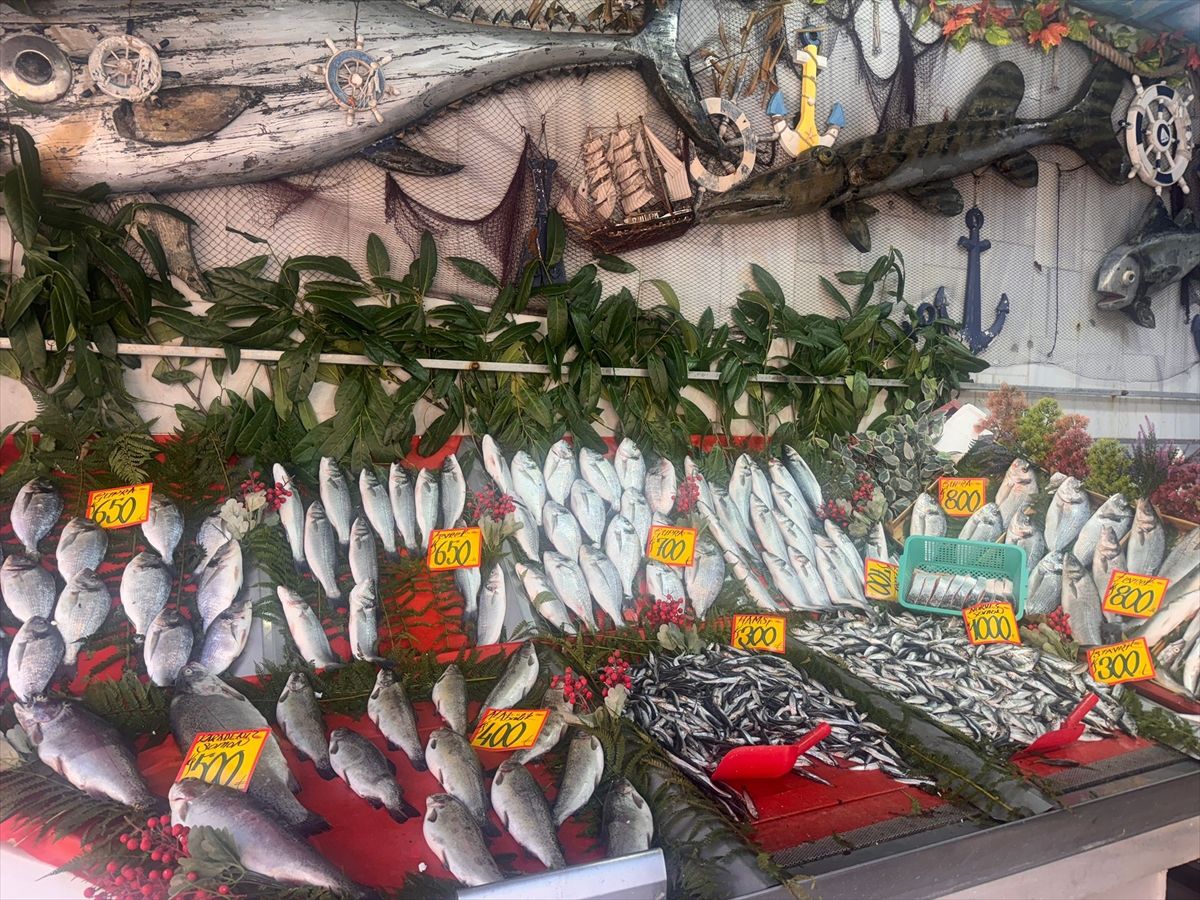 Edirne'de balık fiyatları