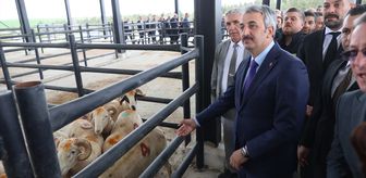 Edirne'de Havsa Canlı Hayvan Pazarı düzenlenen törenle açıldı