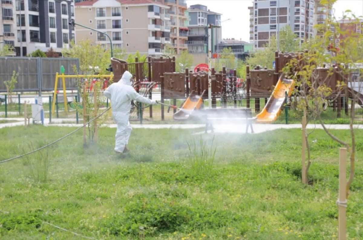 Edirne'de ilaçlama çalışmaları devam ediyor