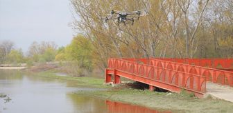 Edirne'de taşkın alanında sivrisinekle mücadele çalışmaları dronla sürdürülüyor