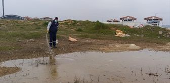 Edirne'den kısa kısa