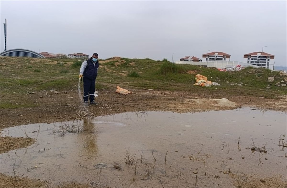 Edirne'den kısa kısa