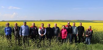 Edirne Tarım ve Orman Müdürü Köse'den saha incelemesi