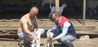 Edirne Tarım ve Orman Müdürü Köse'den saha incelemeleri