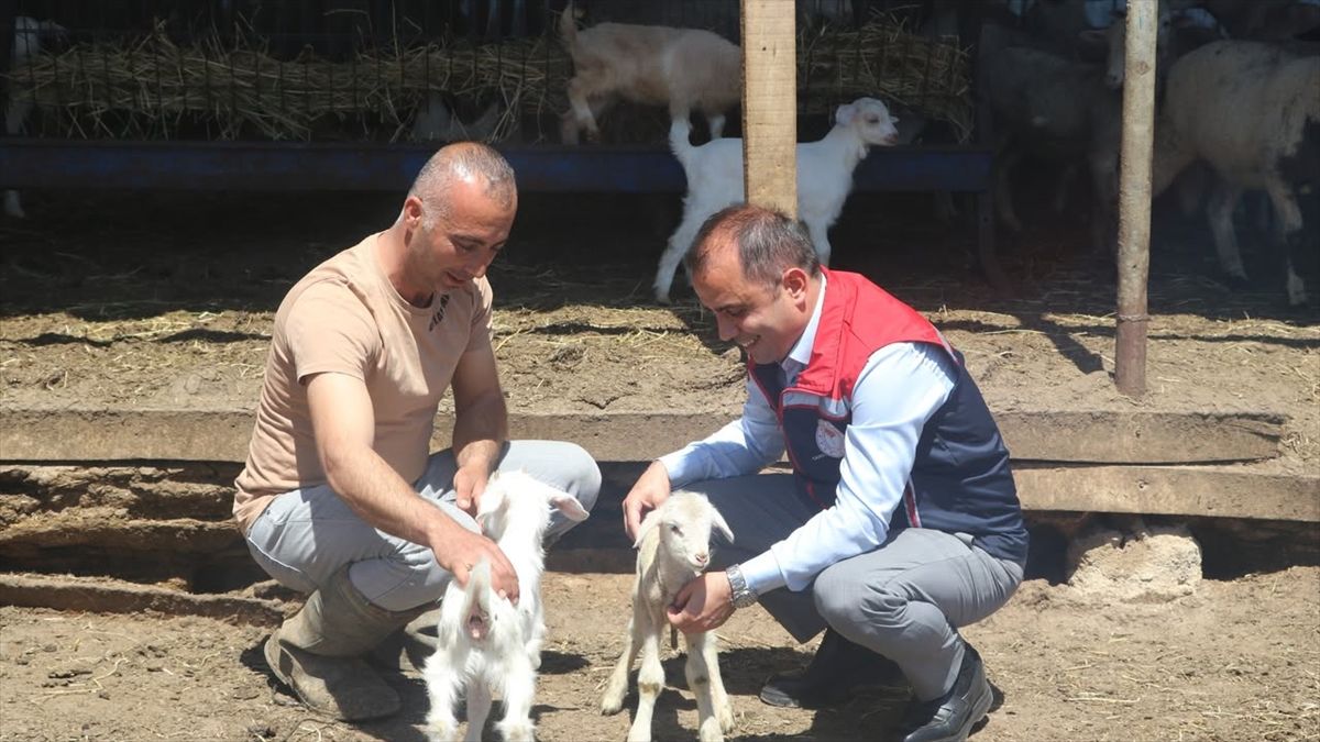 Edirne Tarım ve Orman Müdürü Köse'den saha incelemeleri