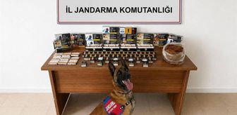 Erzincan'da DEAŞ ve narkotik operasyonlarında 18 zanlı tutuklandı