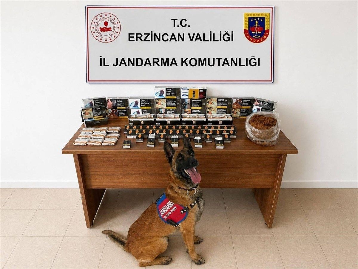 Erzincan'da DEAŞ ve narkotik operasyonlarında 18 zanlı tutuklandı