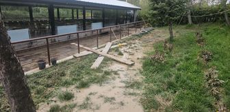 Erzincan'da derenin taşması sonucu iki restoranı su bastı