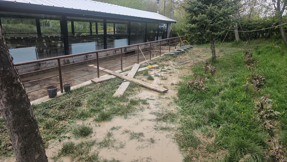 Erzincan'da derenin taşması sonucu iki restoranı su bastı