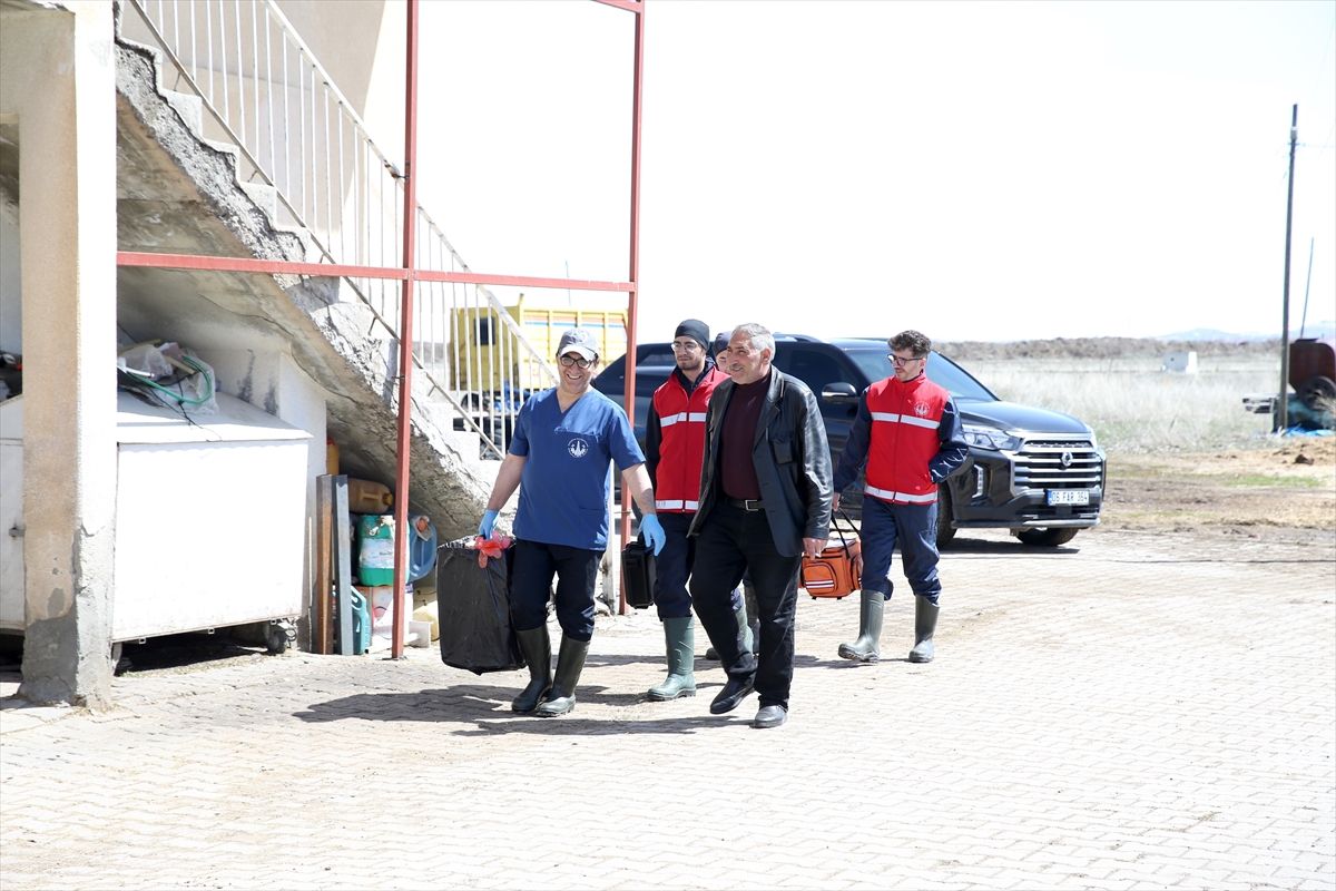 Erzurum'da belediyenin besiciye hizmetiyle hayvan kalitesinin artırılması hedefleniyor