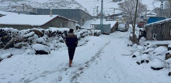Erzurum, Kars ve Ardahan'da kar yağışı ve soğuk hava etkili oluyor