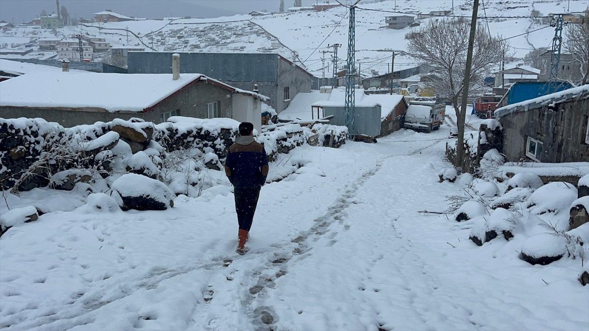 Erzurum, Kars ve Ardahan'da kar yağışı ve soğuk hava etkili oluyor