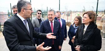 Eskişehir'de hayvan barınaklarına yönelik yürütülen çalışmalar görüşüldü