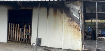 Eyüpsultan'da adak kurban satış merkezinde çıkan yangında 1 kişi öldü