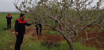 Gaziantep'te etkili olan sağanak ve fırtına sonrası 90 kırsal mahallede tarım arazileri zarar gördü