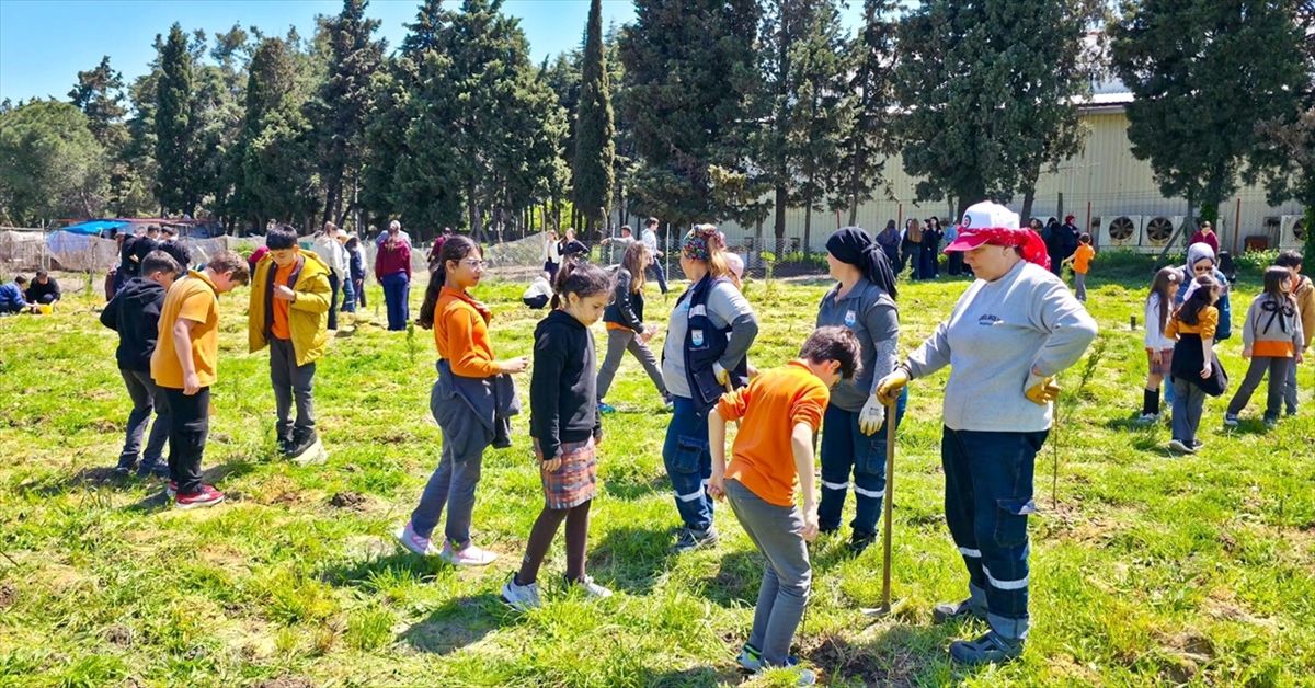 Gelibolu'da kısa kısa