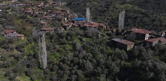 Göçle boşalan 'hayalet köy' Lübbey turizmle ayağa kalkacak