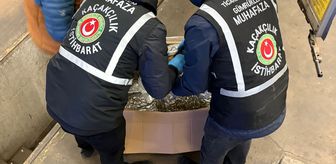 Gümrükler Muhafaza ekipleri son bir haftada toplam 659 kilogram uyuşturucu ele geçirdi
