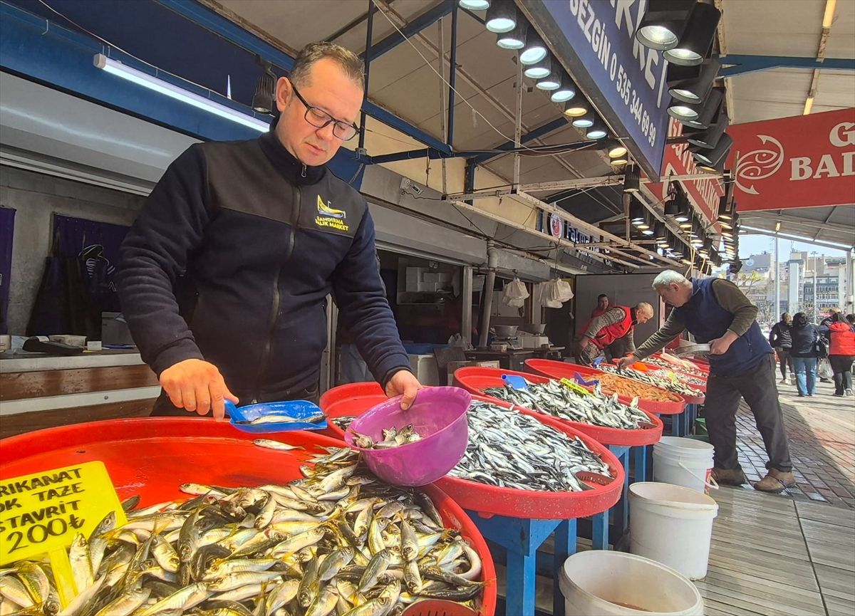 Güney Marmara ve Kuzey Ege'de balıkçılar bereketli sezona rağmen umduğunu bulamadı