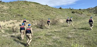 Güvenlik güçleri Tunceli'nin kırsalında Gülistan Doku'nun izini sürüyor