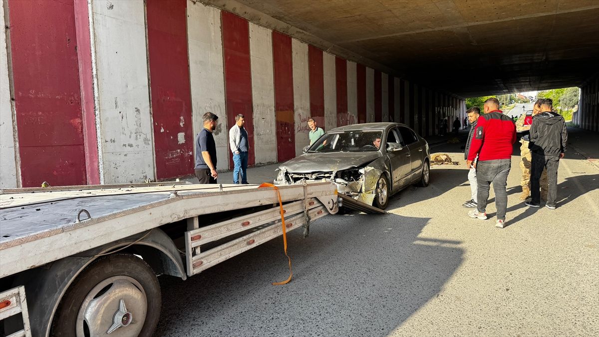 Hatay'da otomobilin çarptığı 17 koyun telef oldu