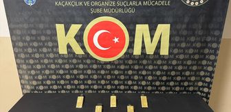 Hatay'da sırt çantasında 8 kilogram gümrük kaçağı altın ele geçirilen zanlı tutuklandı
