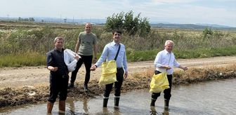 İpsala'da çeltik ekim sezonu başladı