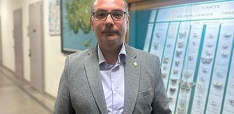 İstanbul'daki çam kese tırtılları için uzmanından 'alerjen' uyarısı