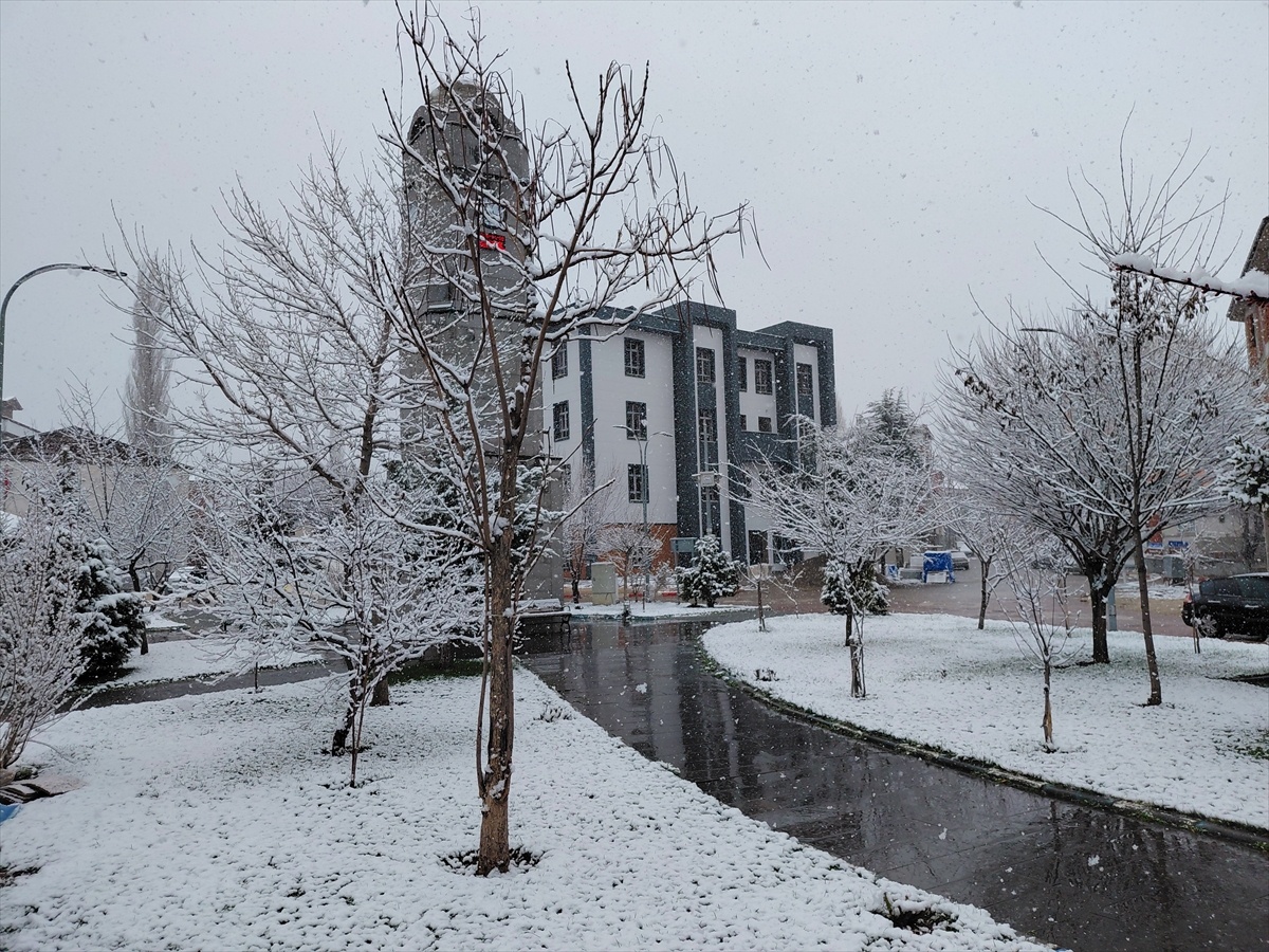 Tokat'ın ilçelerinde kar yağışı etkili oluyor