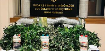 İzmir'de evde uyuşturucu yetiştiren 2 şüpheli yakalandı