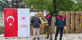 Kale'de çiftçilere sebze fidesi dağıtıldı