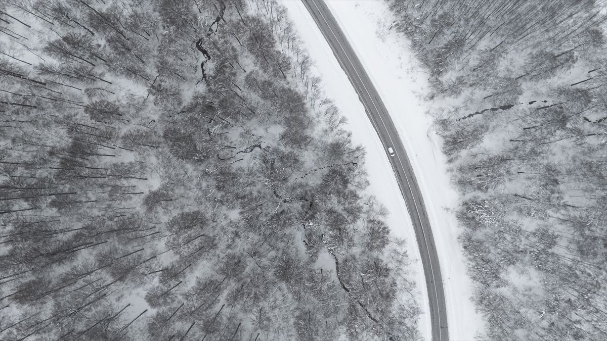 Kar yağışının etkili olduğu Domaniç Dağı dronla görüntülendi