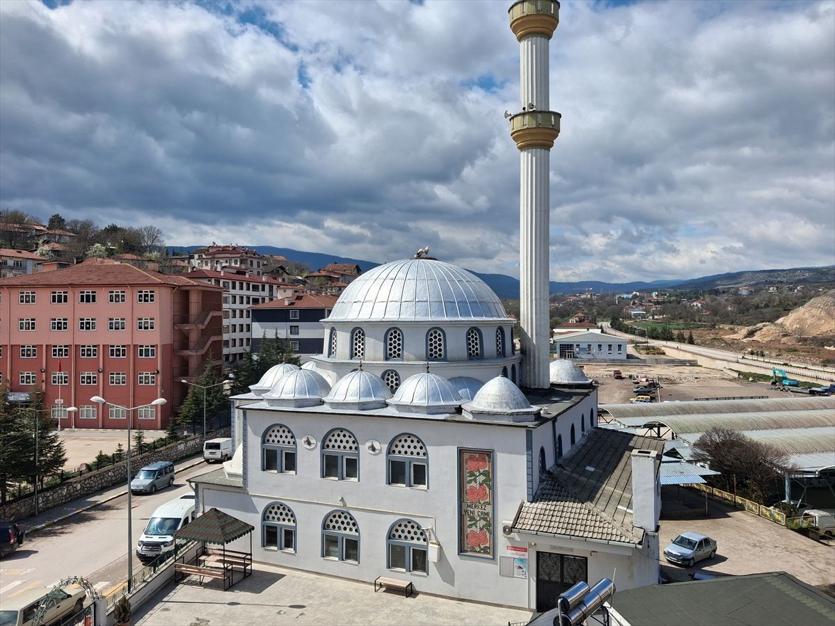 Karabük'te leylekler caminin kubbesine yuva yaptı