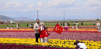 Karaman lale tarlalarıyla ziyaretçi çekiyor